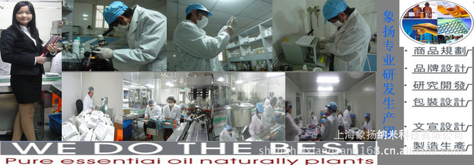 其它未分类_上海象扬纳米科技