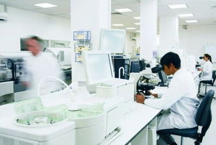 玫瑰绽放富阳，国妆筑梦未来 记杭州好公司的民族品牌之路