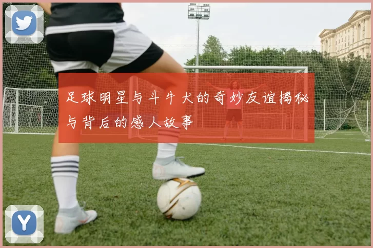 足球明星与斗牛犬的奇妙友谊揭秘与背后的感人故事