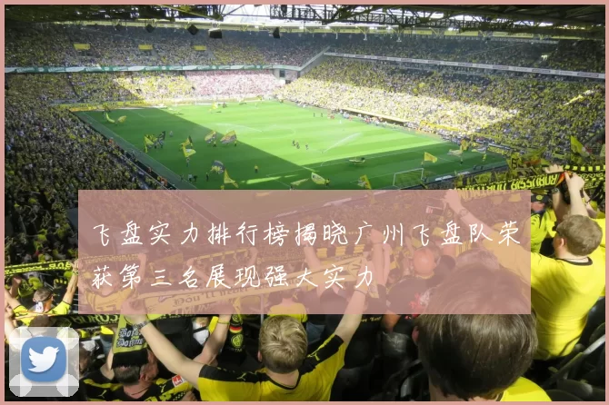 飞盘实力排行榜揭晓广州飞盘队荣获第三名展现强大实力