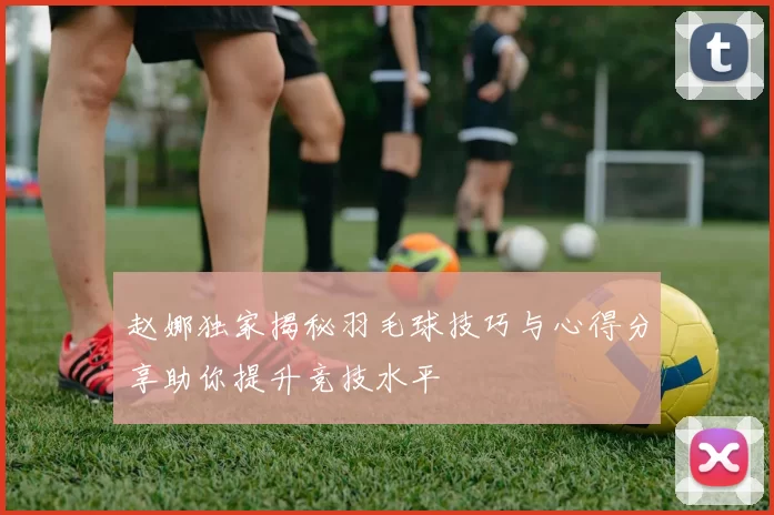 赵娜独家揭秘羽毛球技巧与心得分享助你提升竞技水平