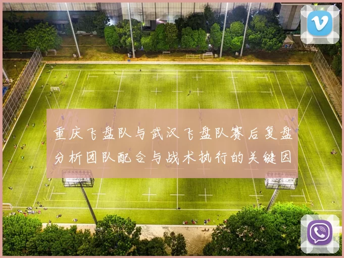 重庆飞盘队与武汉飞盘队赛后复盘分析团队配合与战术执行的关键因素