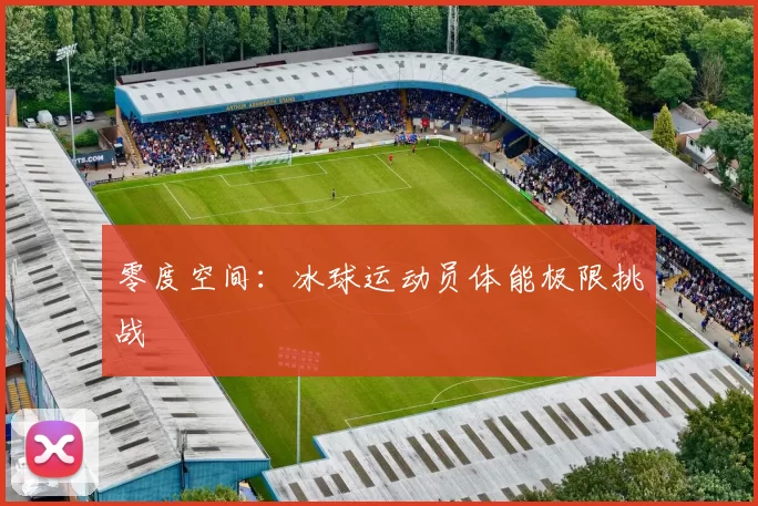 零度空间：冰球运动员体能极限挑战