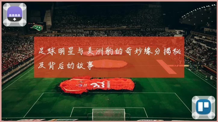 足球明星与美洲豹的奇妙缘分揭秘及背后的故事