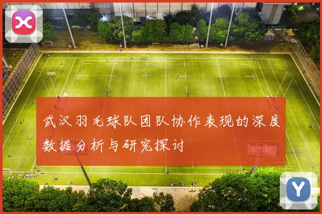 武汉羽毛球队团队协作表现的深度数据分析与研究探讨
