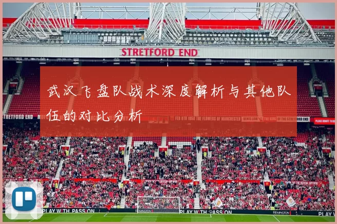 武汉飞盘队战术深度解析与其他队伍的对比分析