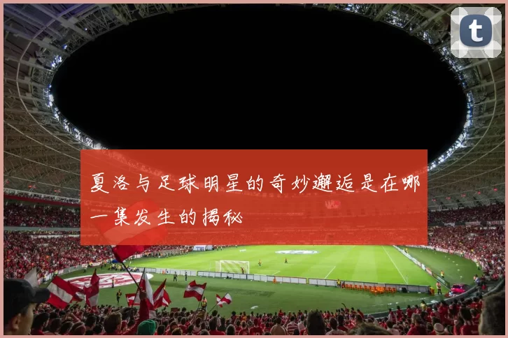 夏洛与足球明星的奇妙邂逅是在哪一集发生的揭秘