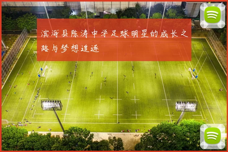 滨海县陈涛中学足球明星的成长之路与梦想追逐