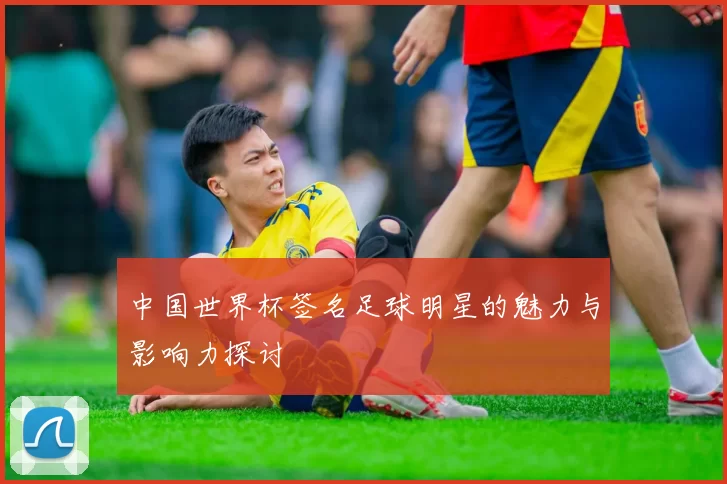 中国世界杯签名足球明星的魅力与影响力探讨