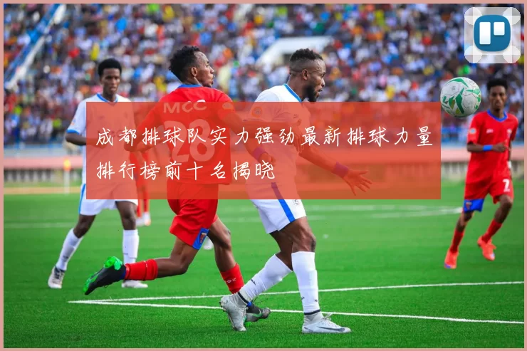 成都排球队实力强劲最新排球力量排行榜前十名揭晓