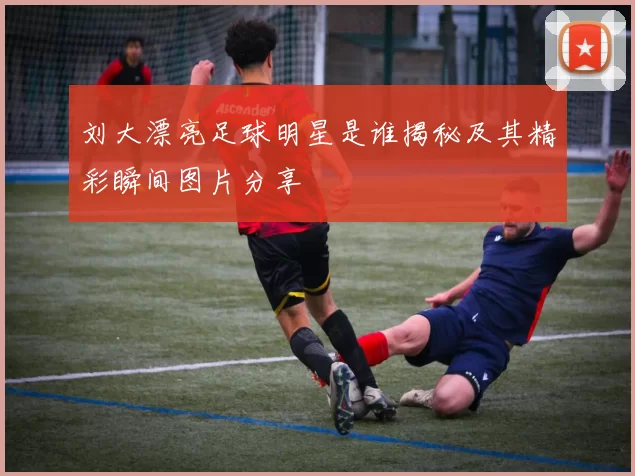 刘大漂亮足球明星是谁揭秘及其精彩瞬间图片分享
