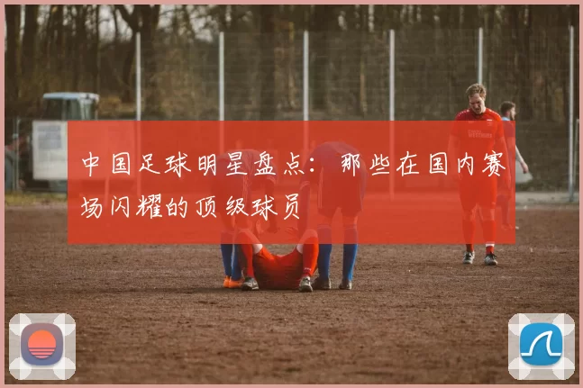 中国足球明星盘点：那些在国内赛场闪耀的顶级球员