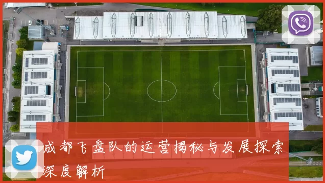 成都飞盘队的运营揭秘与发展探索深度解析
