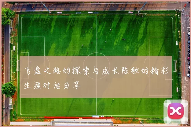 飞盘之路的探索与成长陈敏的精彩生涯对话分享