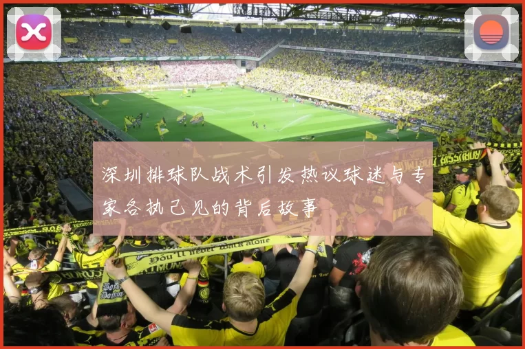 深圳排球队战术引发热议球迷与专家各执己见的背后故事