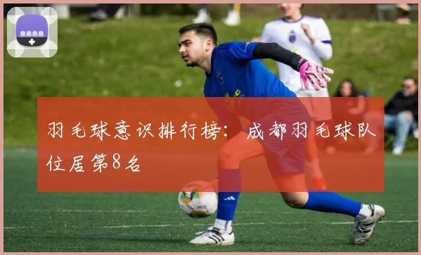 羽毛球意识排行榜：成都羽毛球队位居第8名