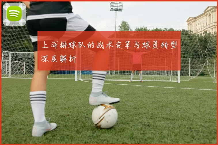 上海排球队的战术变革与球员转型深度解析