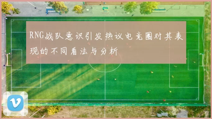 RNG战队意识引发热议电竞圈对其表现的不同看法与分析