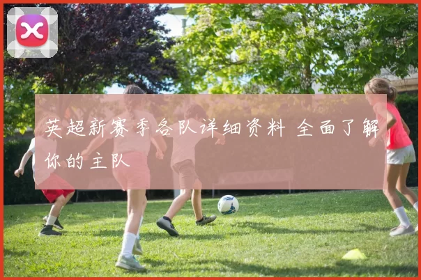 英超新赛季各队详细资料 全面了解你的主队