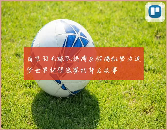 南京羽毛球队拼搏历程揭秘努力追梦世界杯预选赛的背后故事