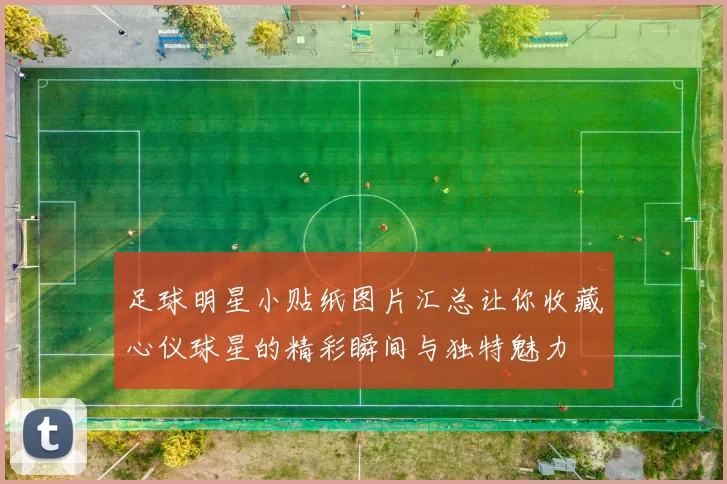 足球明星小贴纸图片汇总让你收藏心仪球星的精彩瞬间与独特魅力