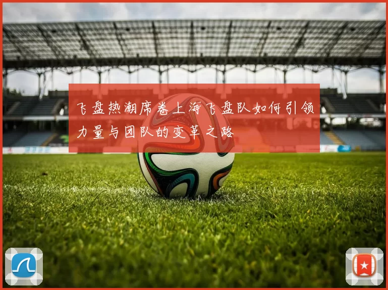 飞盘热潮席卷上海飞盘队如何引领力量与团队的变革之路