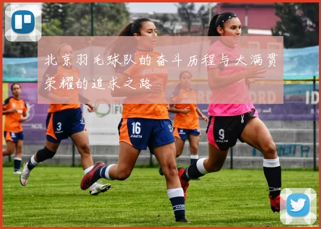 北京羽毛球队的奋斗历程与大满贯荣耀的追求之路